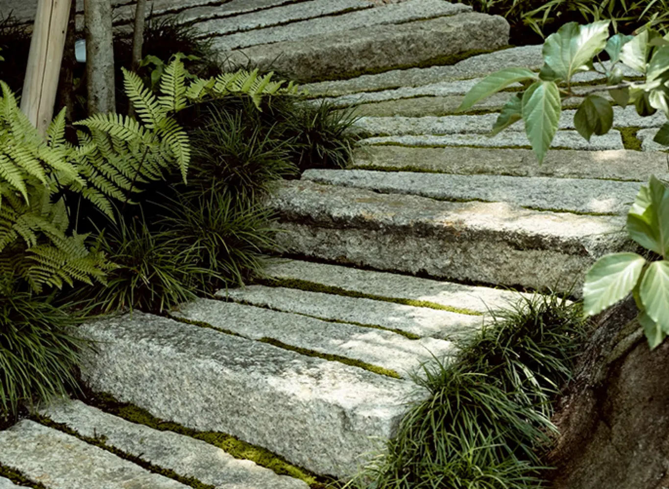 資産価値を守り育てる視点のイメージ