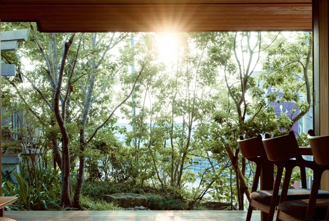 光と風のデザインを、浴びる。のイメージ