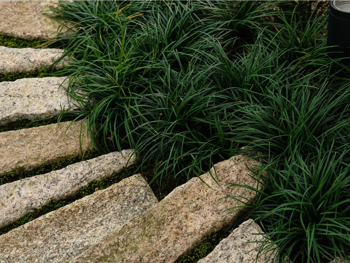 緑の植栽が映える石畳の小道